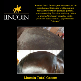 LINCOLN Spray wielozadaniowy TOTAL GROOM