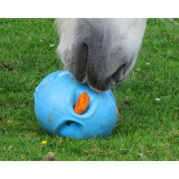 Zabawka dla koni Carrot Ball