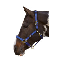 Kantary dla konia z podszyciem | Sklep jeździecki Healthy Horse