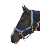 Kantary dla koni bez podszycia | Sklep jeździecki Healthy Horse