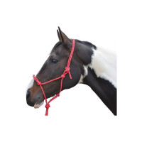 Kantary sznurkowe dla koni | Sklep jeździecki Healthy Horse